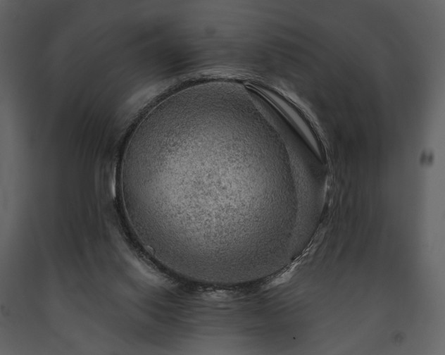 X0000091720062200708241359