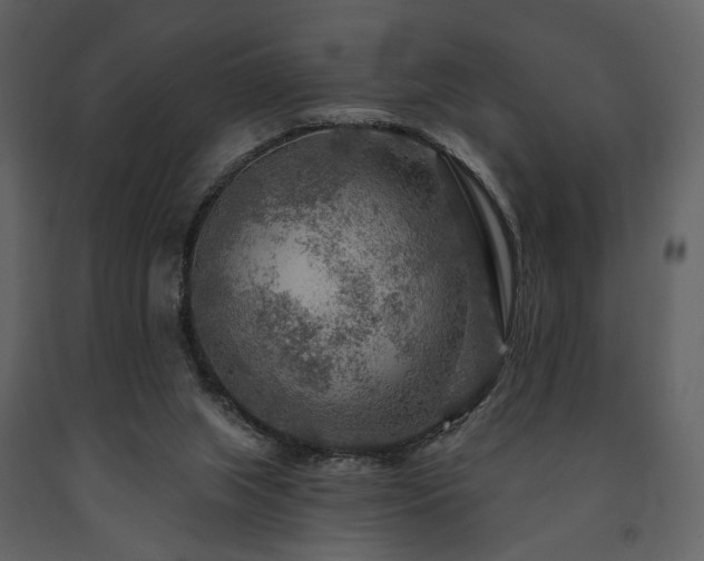 X0000091720063200708241359
