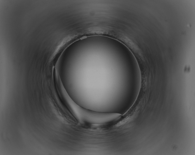 X0000091720064200708241359