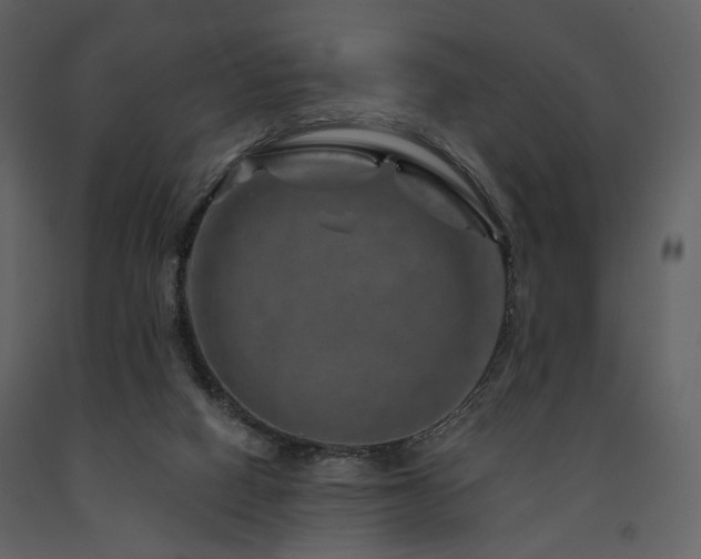 X0000091720066200708241359