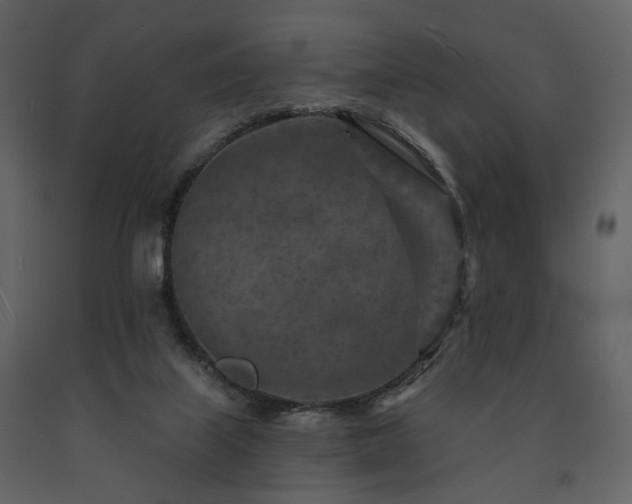 X0000091720067200708241359