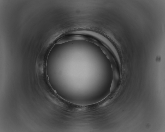 X0000091720068200708241359