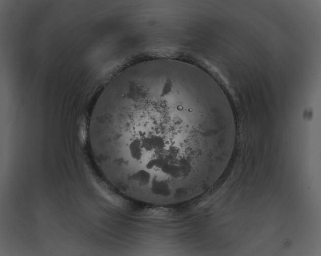 X0000091720069200708241359
