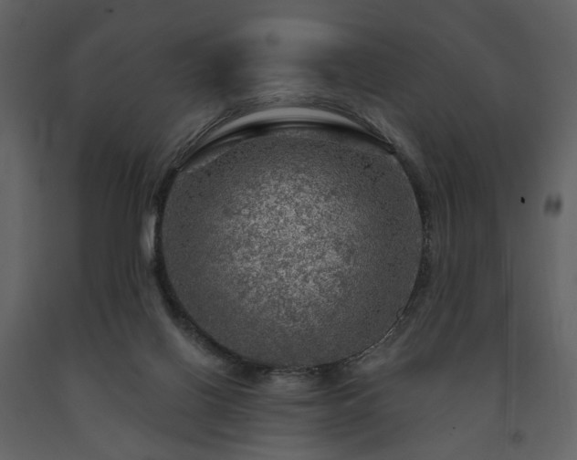 X0000091720070200708241359