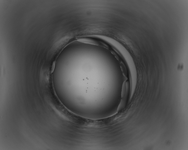 X0000091720072200708241359