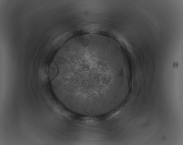 X0000091720073200708241359