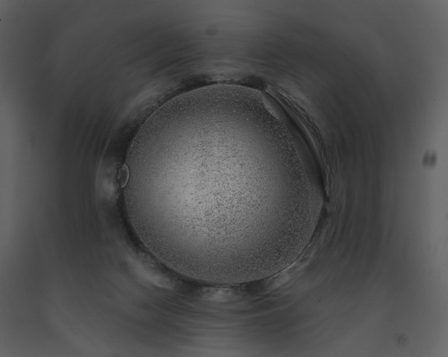 X0000091720074200708241359