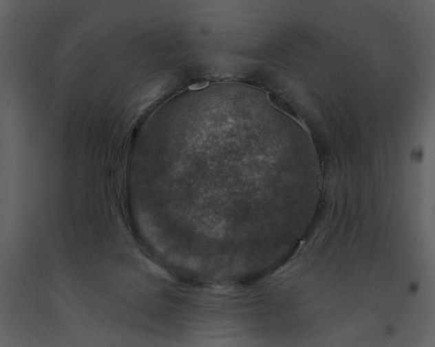 X0000091720076200708241359