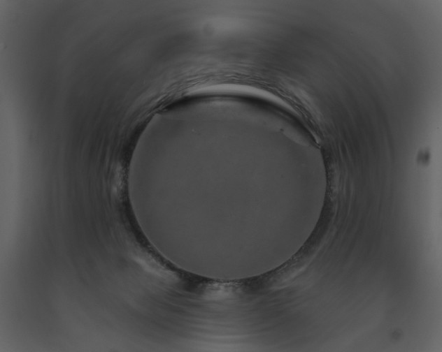 X0000091720077200708241359