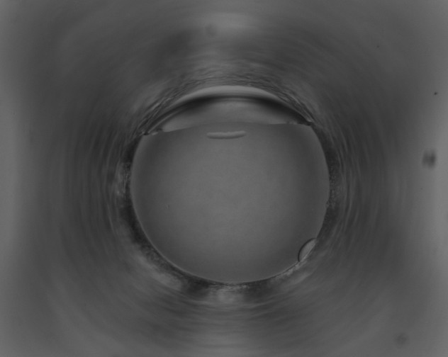 X0000091720078200708241359