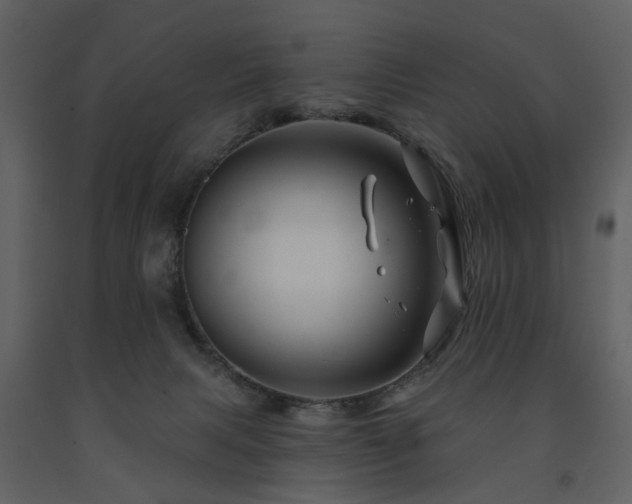 X0000091720079200708241359
