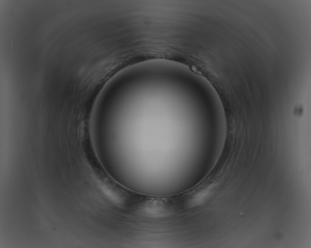 X0000091720080200708241359