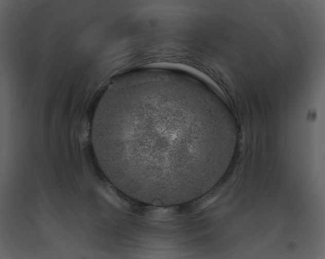X0000091720081200708241359