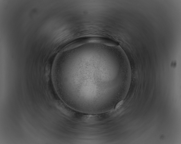 X0000091720082200708241359