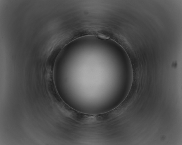 X0000091720083200708241359