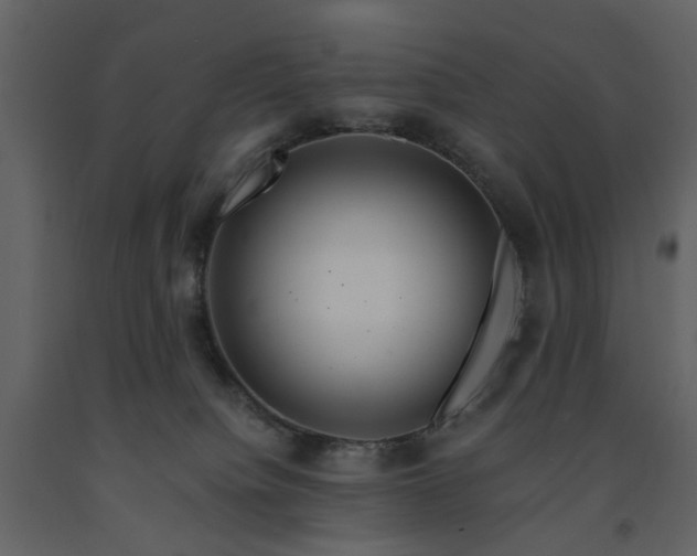 X0000091720084200708241359