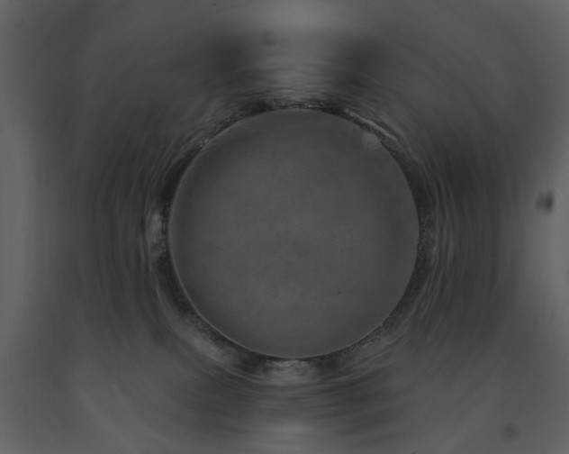X0000091720087200708241359