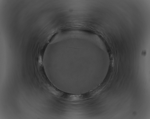 X0000091720089200708241359