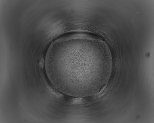X0000091720090200708241359
