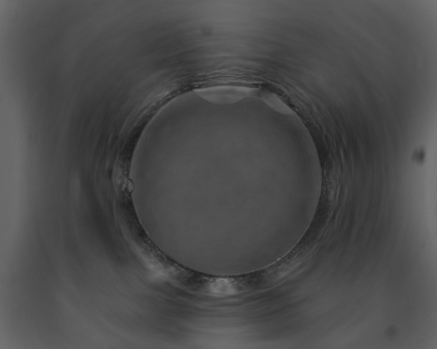 X0000091720091200708241359