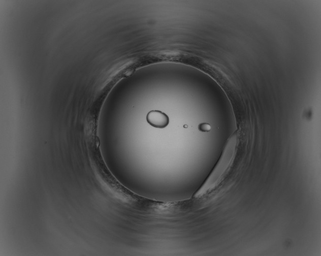 X0000091720092200708241359