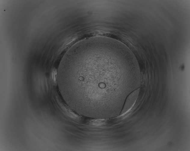 X0000091720094200708241359