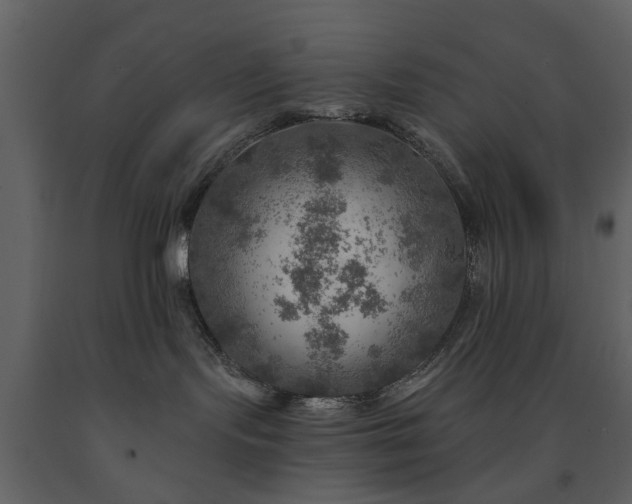 X0000091720095200708241359