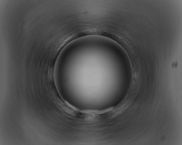 X0000091720096200708241359