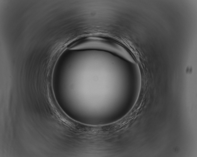 X0000091720097200708241358