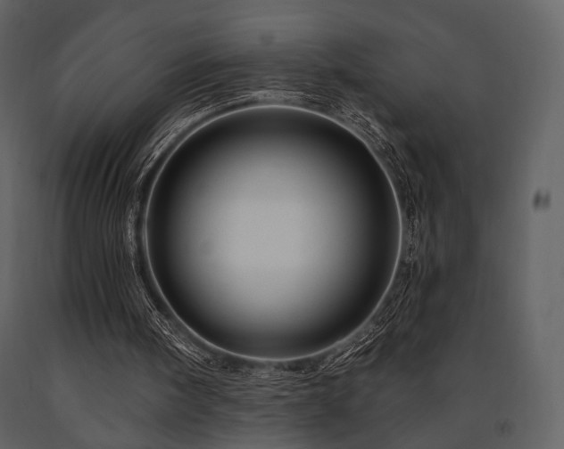 X0000091720098200708241358