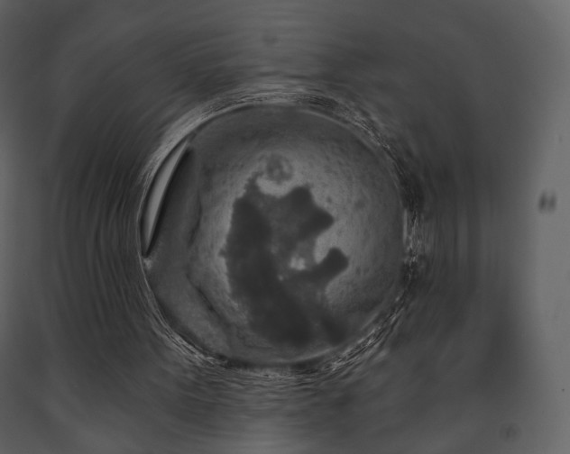 X0000091720099200708241358