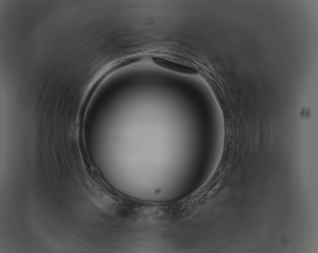 X0000091720100200708241358