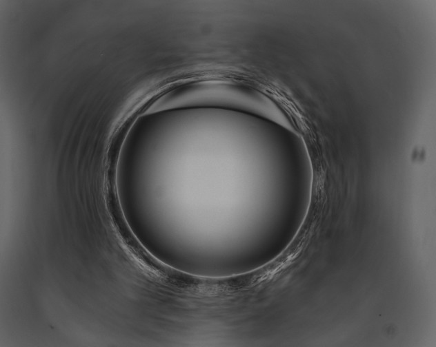X0000091720101200708241358