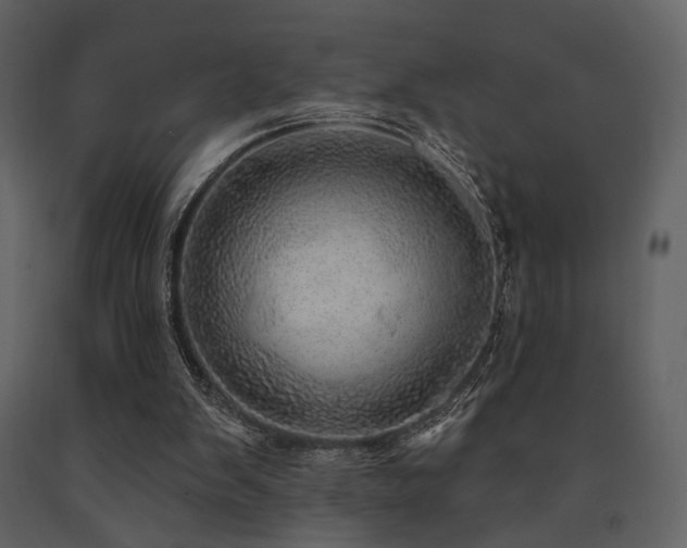 X0000091720103200708241358