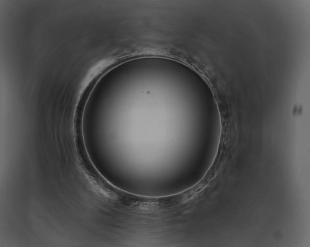 X0000091720104200708241358