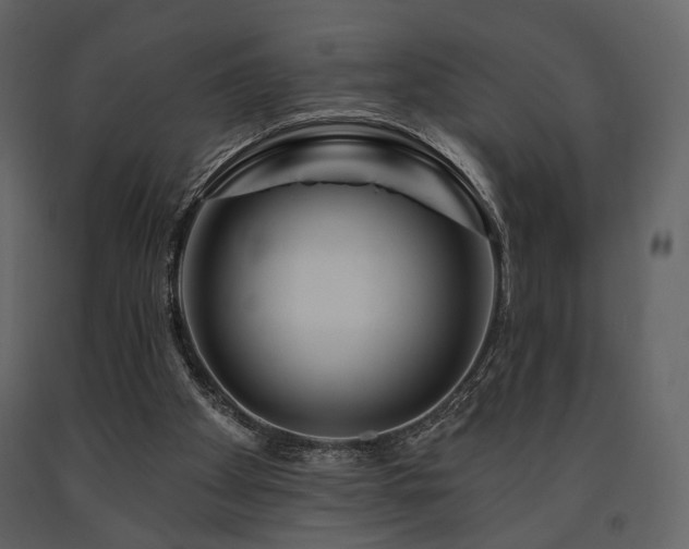 X0000091720105200708241358