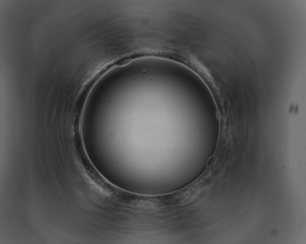 X0000091720106200708241358