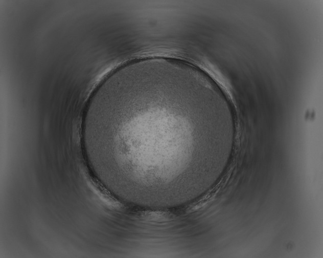 X0000091720107200708241358