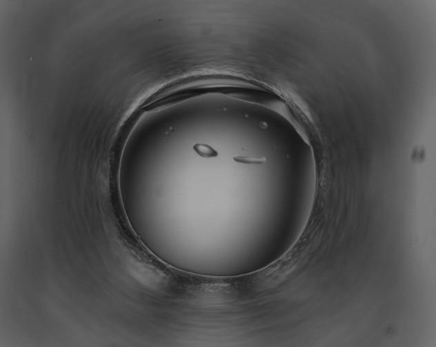 X0000091720108200708241358