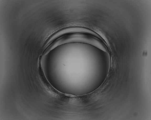 X0000091720109200708241358