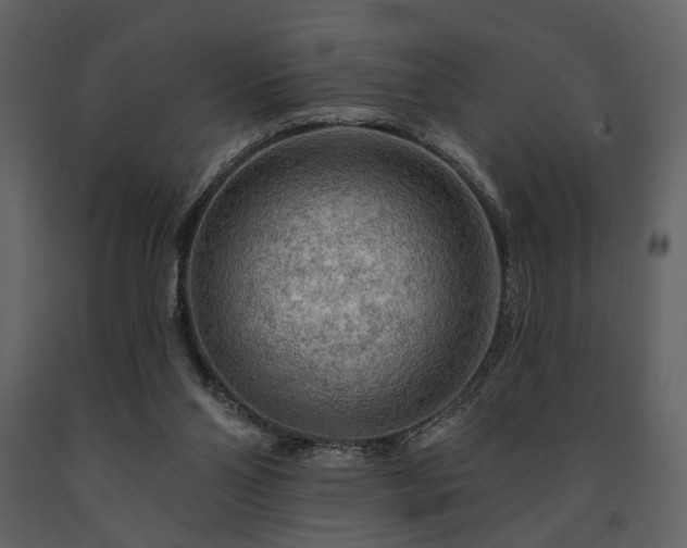 X0000091720110200708241358