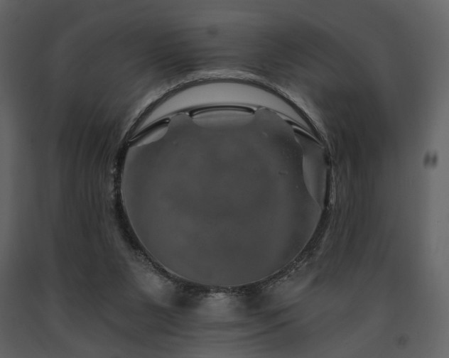 X0000091720111200708241358