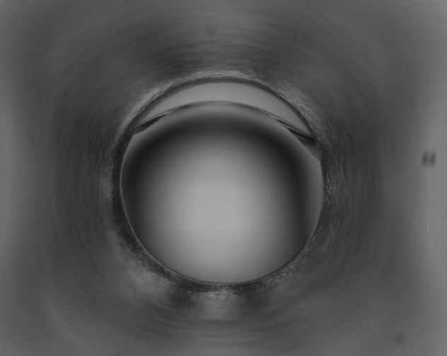 X0000091720112200708241358