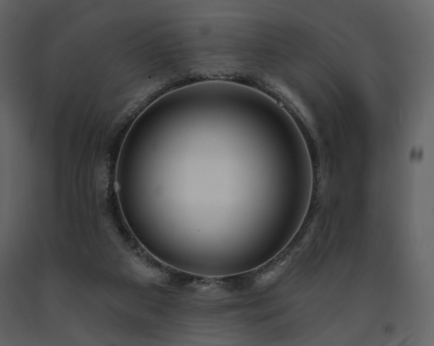 X0000091720113200708241358