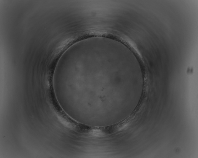 X0000091720114200708241358