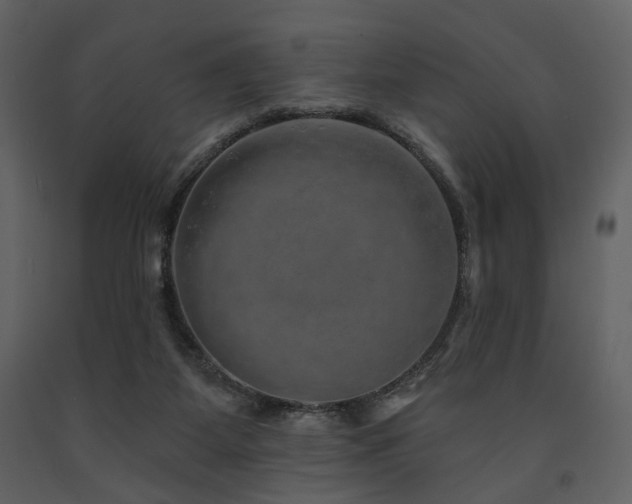 X0000091720115200708241358