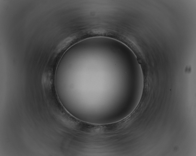 X0000091720116200708241358