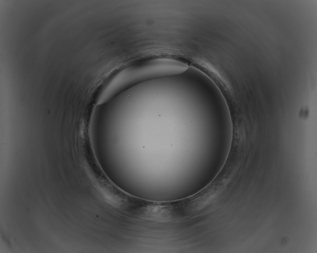 X0000091720117200708241358