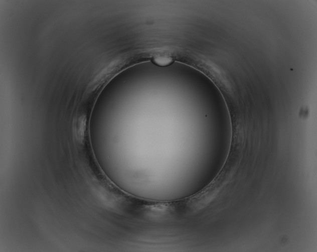 X0000091720118200708241358