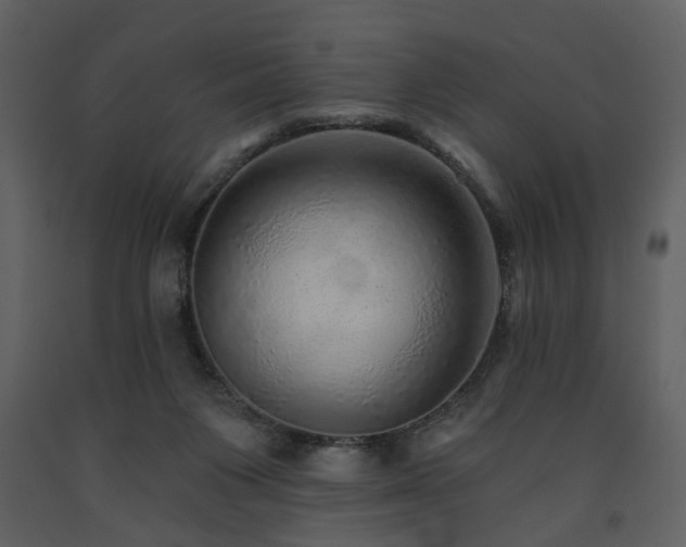 X0000091720119200708241358